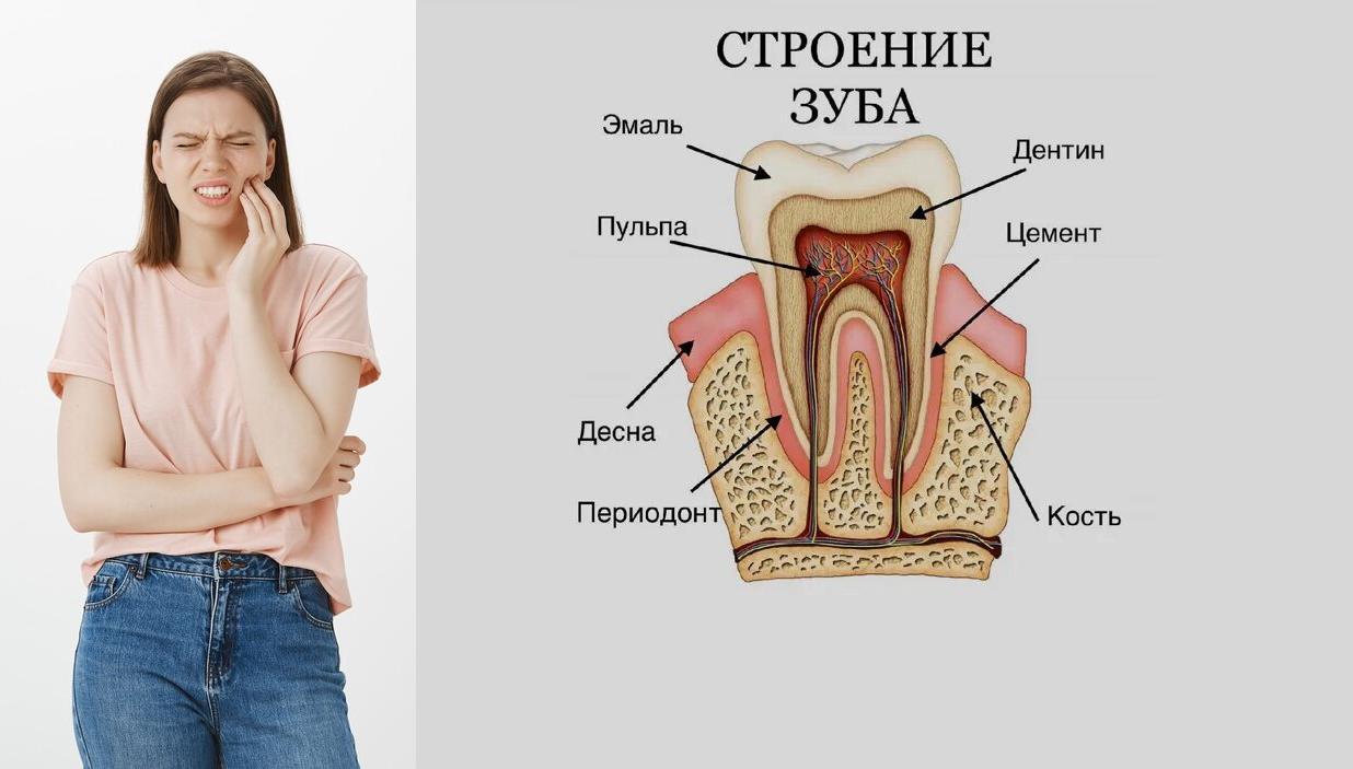 Почему болит зуб? - С Вами Доктор